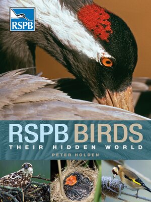 cover image of RSPB Birds